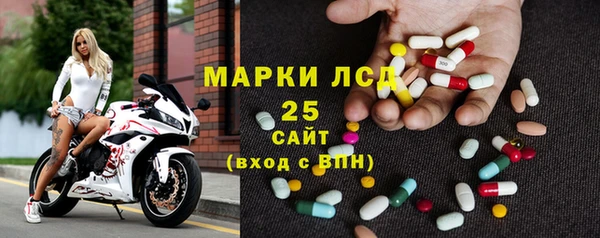 прущие грибы Балабаново