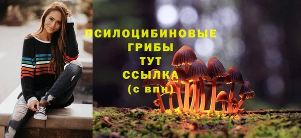 прущая мука Богородицк