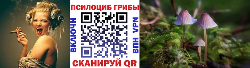 MEGA ссылка  Давлеканово  Псилоцибиновые грибы Psilocybine cubensis 